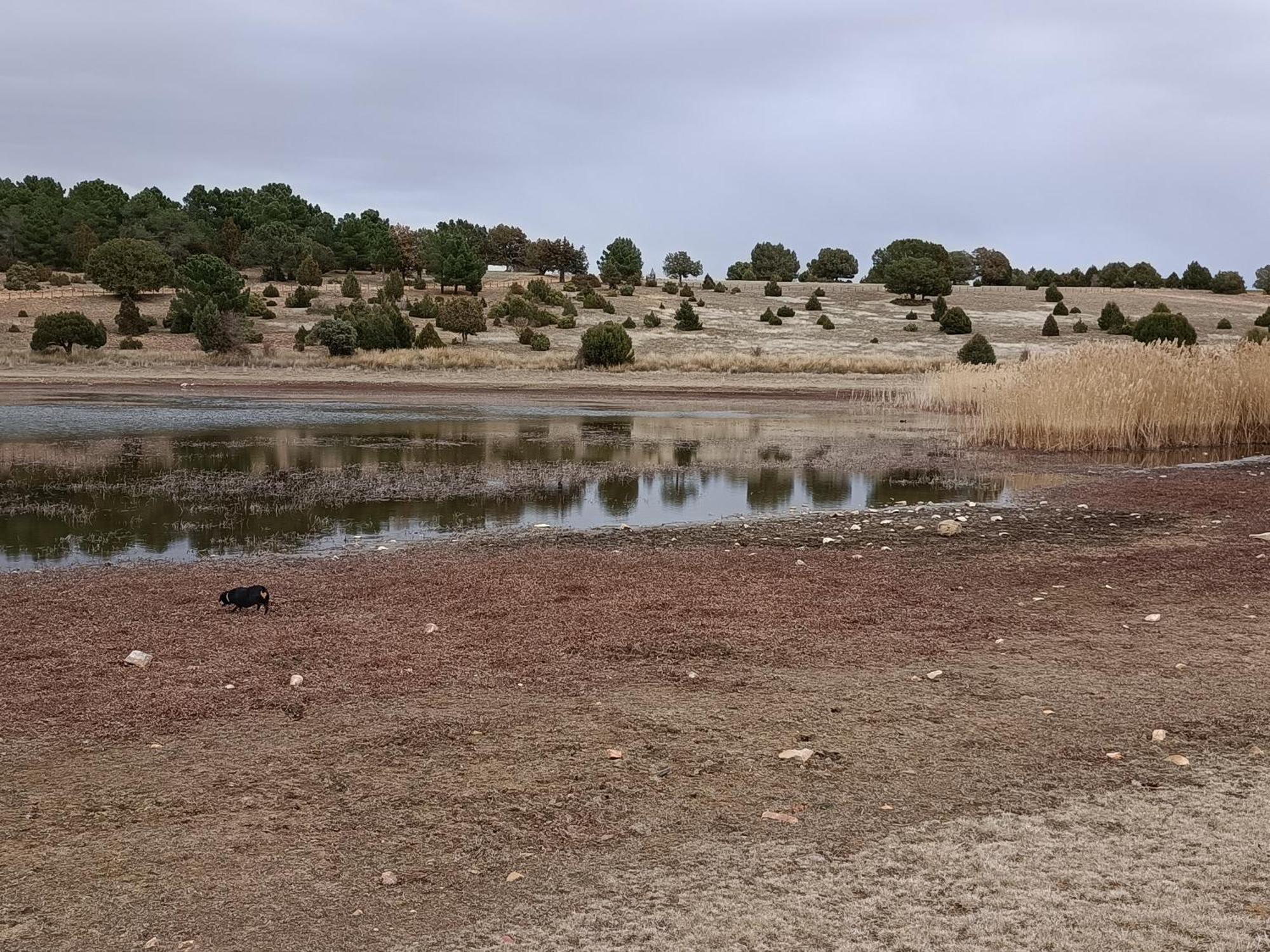 Rurales La Capellania De Alobras